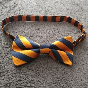 Navy Blue and Gold Strppied Neck Bowtie